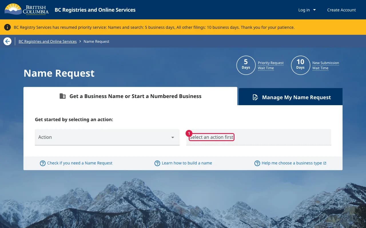 Name Request page with the action selector for starting a new business name